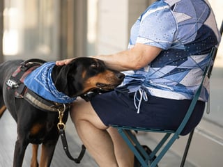 Pet Food Assistance Program