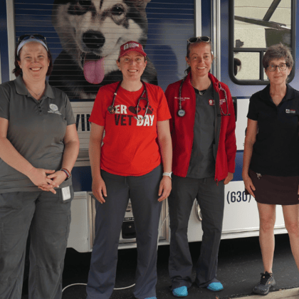 Volunteers as Partners