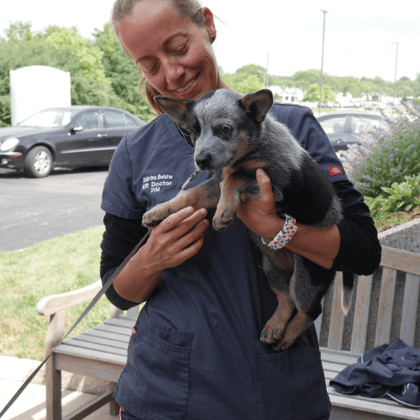 Volunteers as Partners