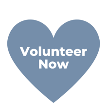 Volunteer With DSCC