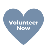 Volunteer to help seniors