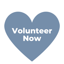 Volunteer Now (4)