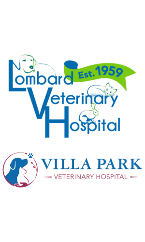 Lombard Veterinary Hospital / Villa Park Veterinary Hospital